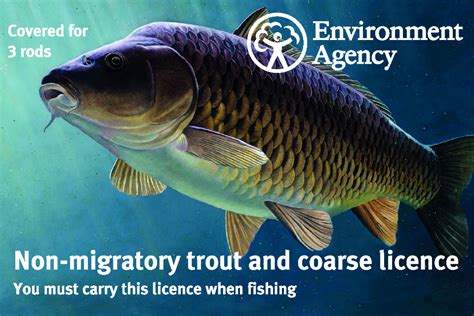 The Sea Fishing (Licences and Notices) (Scotland) Regulations .
